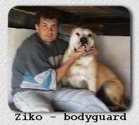 [Ziko - bodyguard]